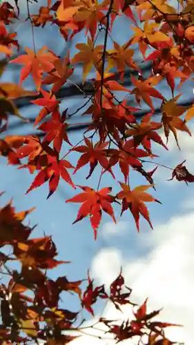 大矢田神社(岐阜県)