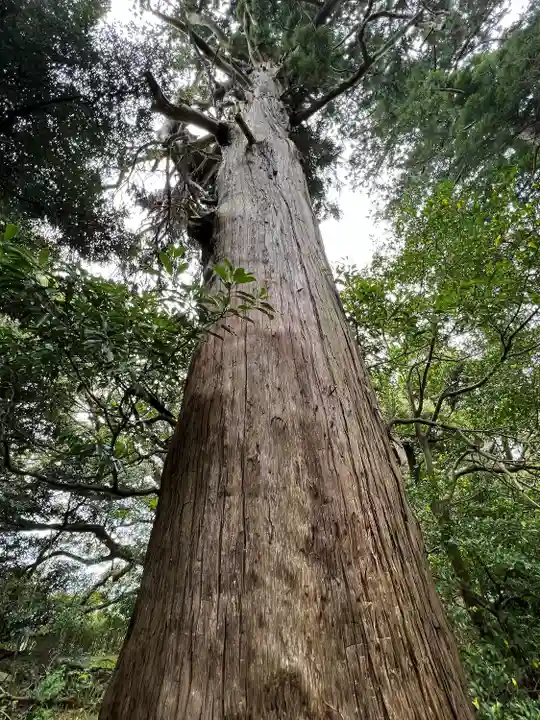 八雲神社(千葉県)