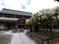 総持院の{uncategorized: "未分類", other: "その他", undefined: "問題あり", building: "その他建物", grave: "お墓", sacred_gate: "鳥居", guardian: "狛犬", statue: "像", buddha: "仏像", history: "歴史", nature: "自然", garden: "庭園", animal: "動物", pagoda: "塔", temizu: "手水舎", mountain_gate: "山門・神門", sanctuary: "本殿・本堂", subordinate: "末社・摂社", art: "芸術", scenery: "景色", jizo: "地蔵", ema: "絵馬", goshuin: "御朱印", omikuji: "おみくじ", items: "授与品その他", amulet: "お守り", goshuincho: "御朱印帳", eats: "食事", festival: "お祭り", votive_dance: "神楽", shichigosan: "七五三参", wedding: "結婚式", experience: "体験その他", initially: "初詣", around: "周辺", anti_infection: "感染症対策"}