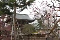 北野天満宮の建物その他