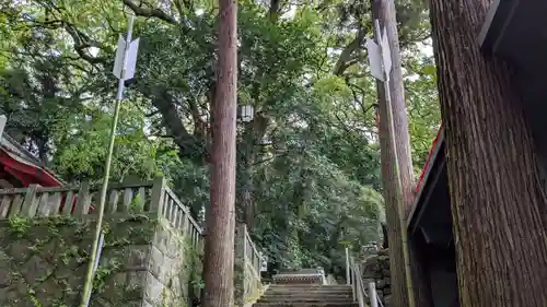 八幡朝見神社の自然