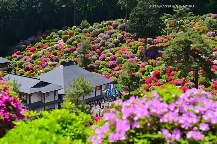 塩船観音寺(東京都)