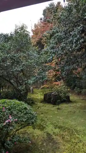 地蔵院(京都府)