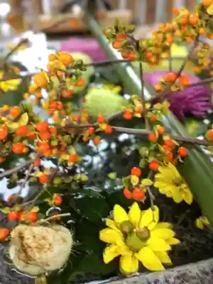 高円寺氷川神社(東京都)
