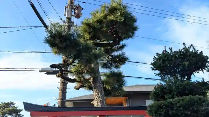 末多武利神社の自然