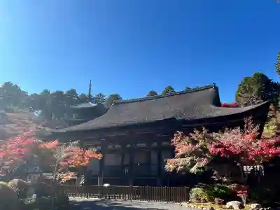 常樂寺(滋賀県)