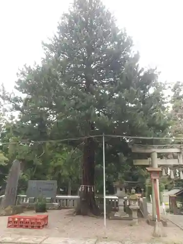安房神社(栃木県)