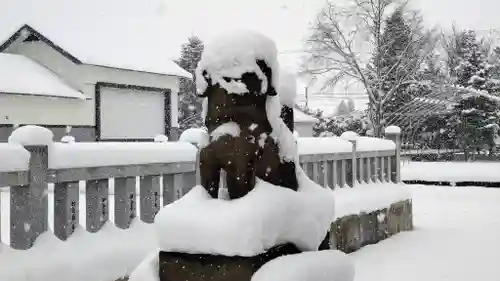 美瑛神社の狛犬