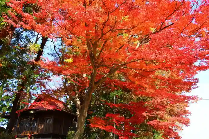東館稲荷神社の本殿・本堂
