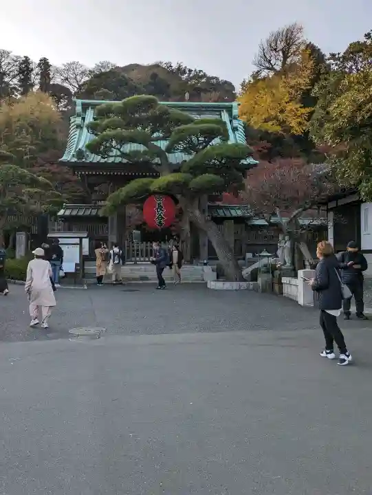 長谷寺(神奈川県)