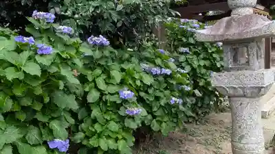 鷺栖神社(奈良県)