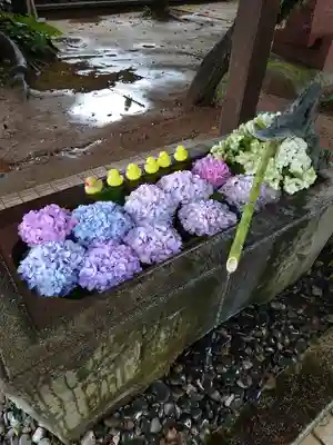 柏諏訪神社の手水舎
