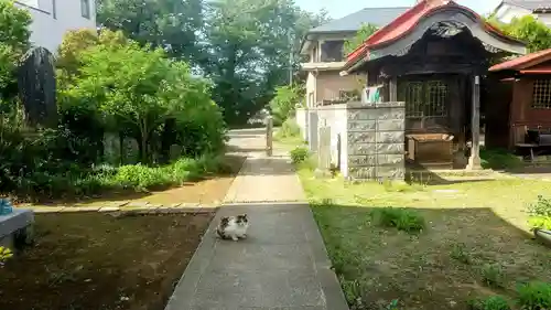 井野天満神社(茨城県)