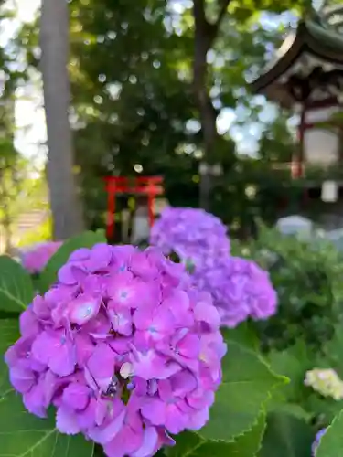 川越八幡宮(埼玉県)