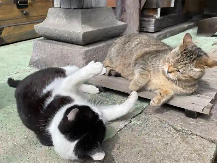 榛名神社(群馬県)