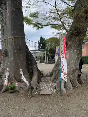 八枝神社(埼玉県)