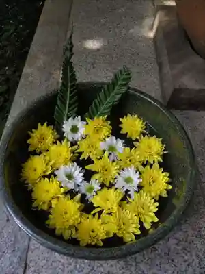 普賢寺の手水舎