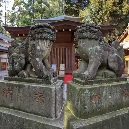 岩槻久伊豆神社の狛犬