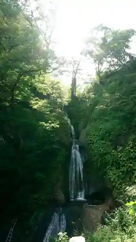 高龍神社の自然