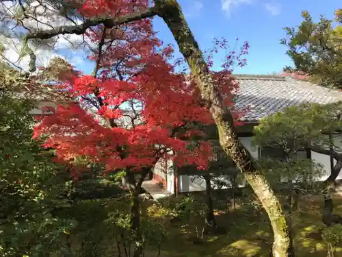 仁和寺の庭園