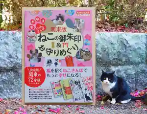 今市報徳二宮神社(栃木県)(2022年12月16日(金) 17時20分33秒投稿)