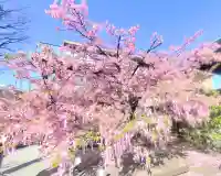 桜神宮の{uncategorized: "未分類", other: "その他", undefined: "問題あり", building: "その他建物", grave: "お墓", sacred_gate: "鳥居", guardian: "狛犬", statue: "像", buddha: "仏像", history: "歴史", nature: "自然", garden: "庭園", animal: "動物", pagoda: "塔", temizu: "手水舎", mountain_gate: "山門・神門", sanctuary: "本殿・本堂", subordinate: "末社・摂社", art: "芸術", scenery: "景色", jizo: "地蔵", ema: "絵馬", goshuin: "御朱印", omikuji: "おみくじ", items: "授与品その他", amulet: "お守り", goshuincho: "御朱印帳", eats: "食事", festival: "お祭り", votive_dance: "神楽", shichigosan: "七五三参", wedding: "結婚式", experience: "体験その他", initially: "初詣", around: "周辺", anti_infection: "感染症対策"}