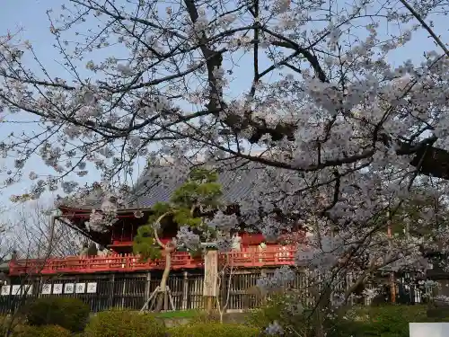 清水観音堂の自然