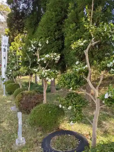 結神社の庭園