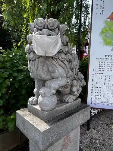 川越八幡宮の狛犬