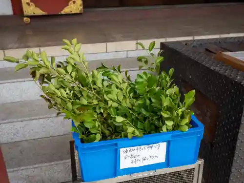 東京羽田 穴守稲荷神社(東京都)