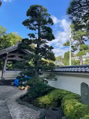 霊泉院(東京都)
