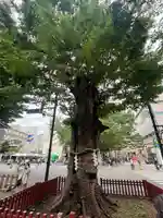 大國魂神社(東京都)