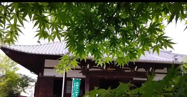 洞雲寺の自然