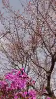 相馬神社の自然