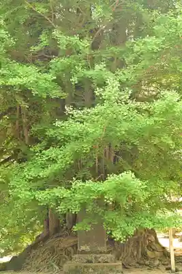 正法寺(埼玉県)