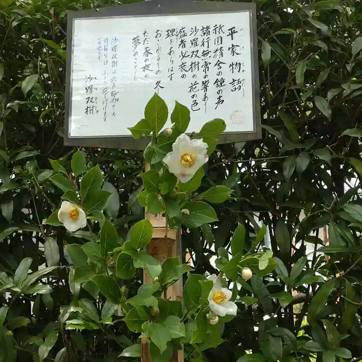 明月院(神奈川県)