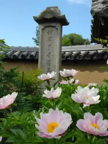 當麻寺(奈良県)