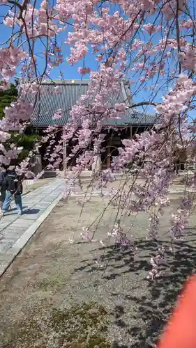 妙顯寺（妙顕寺）(京都府)