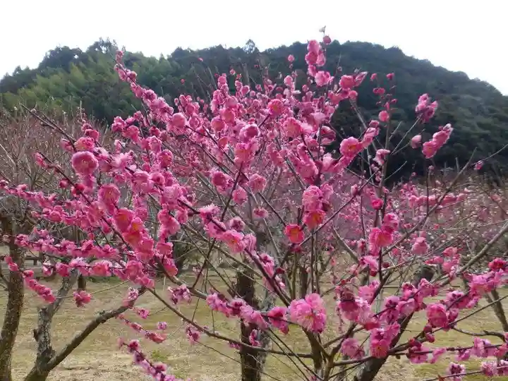 西来寺(山口県)