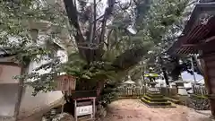 八幡神社(兵庫県)