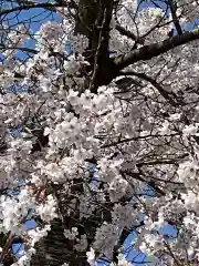 安養寺(福島県)