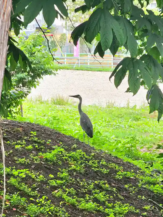 美幌神社(北海道)