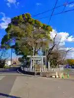 宮川神社(宮川町)の自然