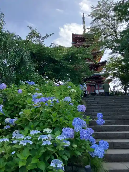 本土寺(千葉県)