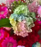 札幌諏訪神社の手水舎