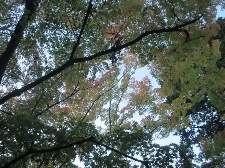 円通院(宮城県)