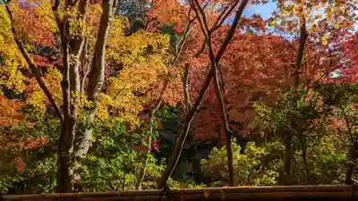 来迎院(京都府)