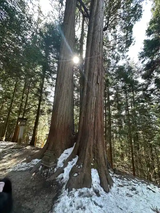 三峯神社の自然