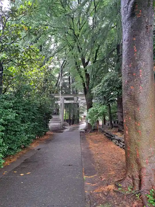 諏訪神社(東京都)