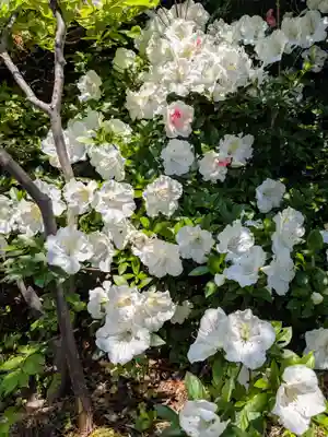 伊達神社(北海道)